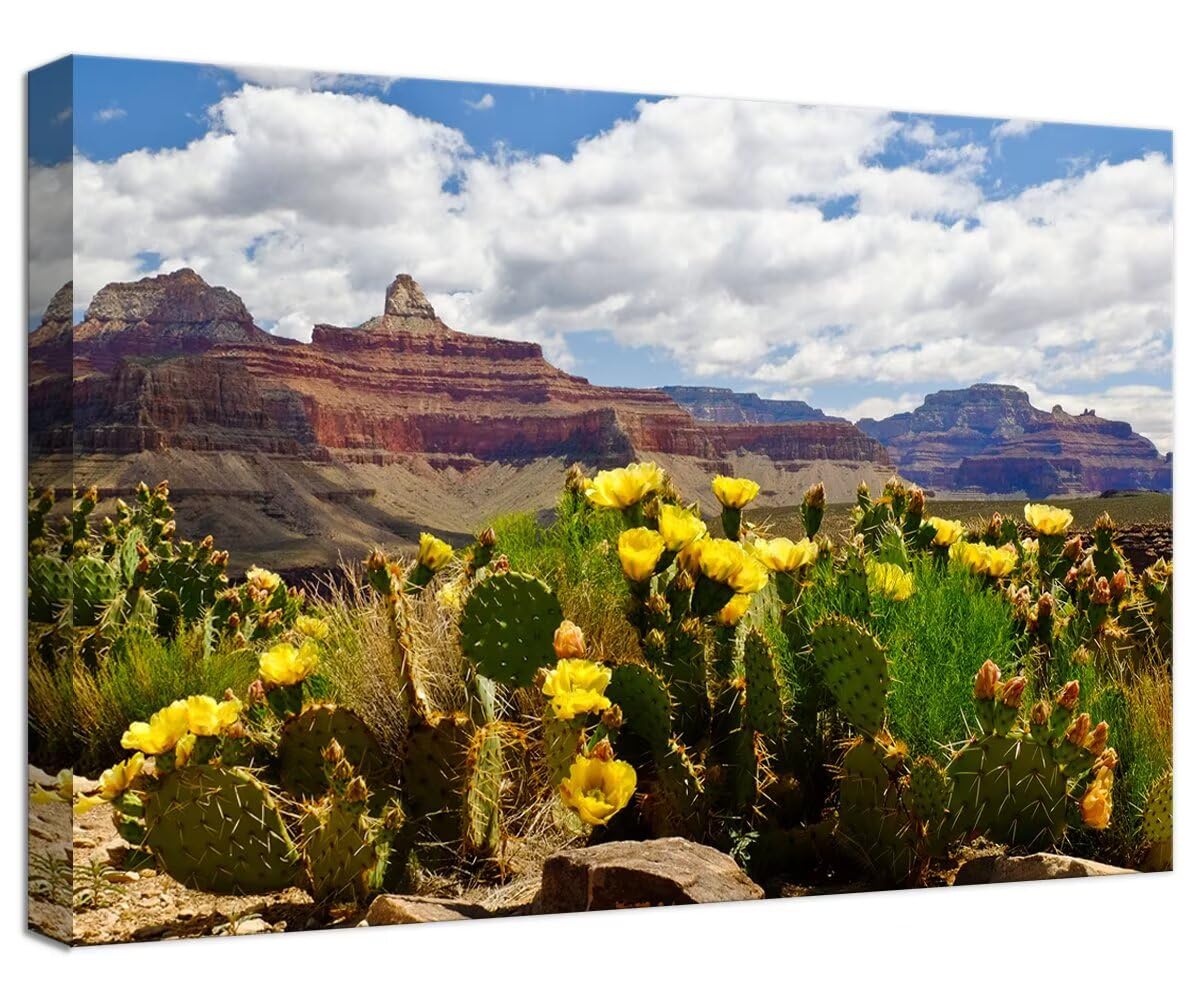 デュラン キャンバスアート Amazon.com: The Grand Canyon and Cactus Wall Art for Living Room